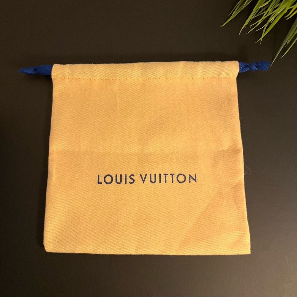 Louis Vuitton Dust Bag Storage Bag